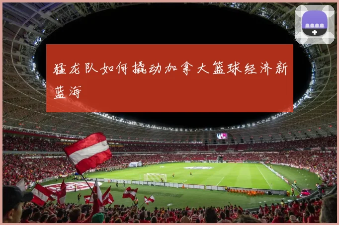 猛龙队如何撬动加拿大篮球经济新蓝海