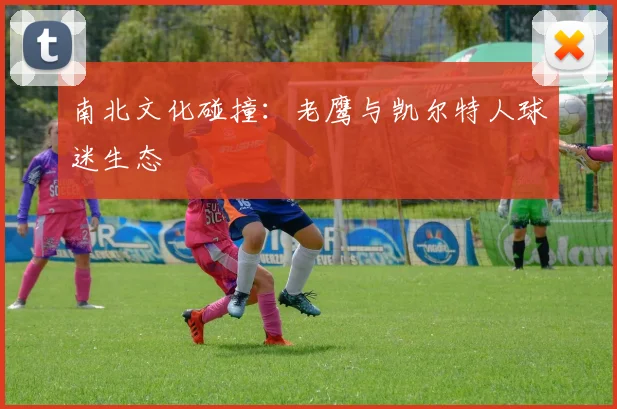 南北文化碰撞：老鹰与凯尔特人球迷生态