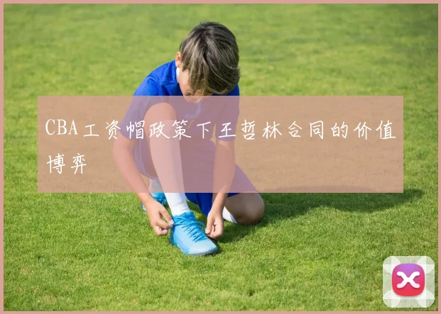 CBA工资帽政策下王哲林合同的价值博弈